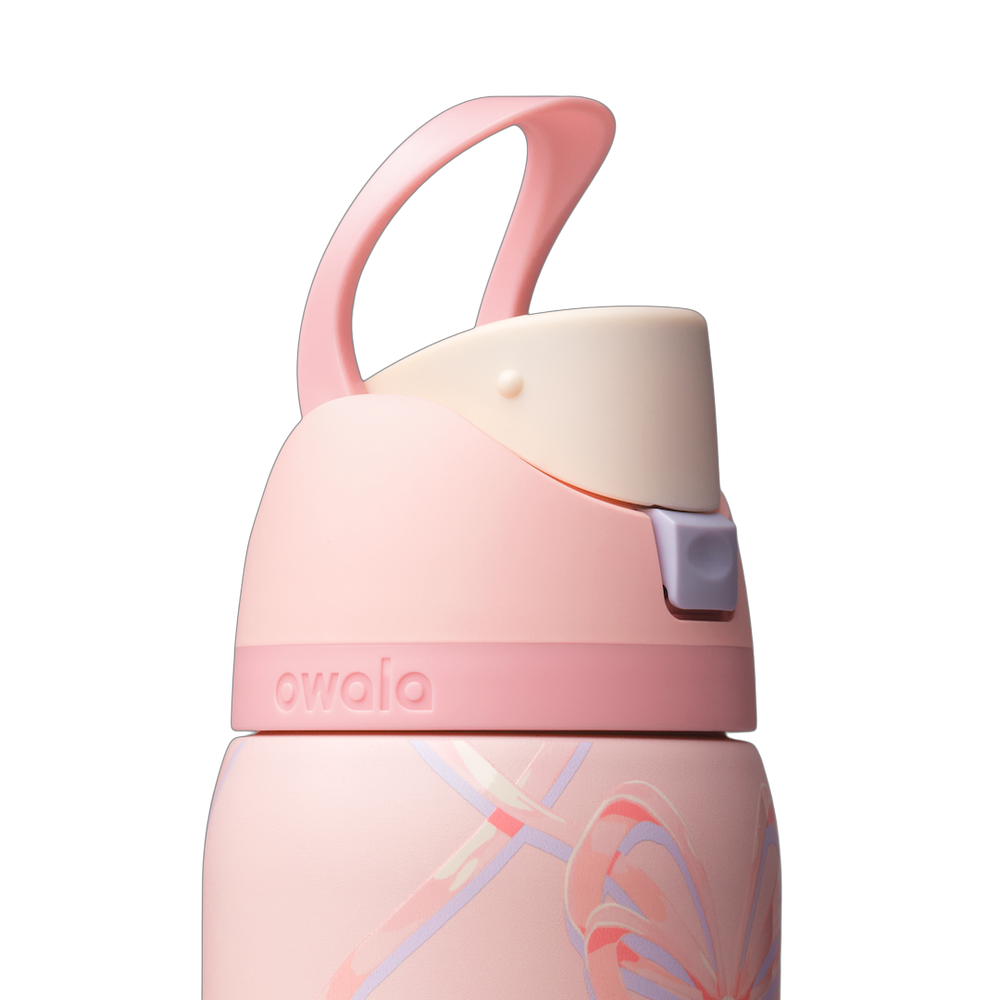 Sugar Plum Fairy 32oz Freesip Water Bottle